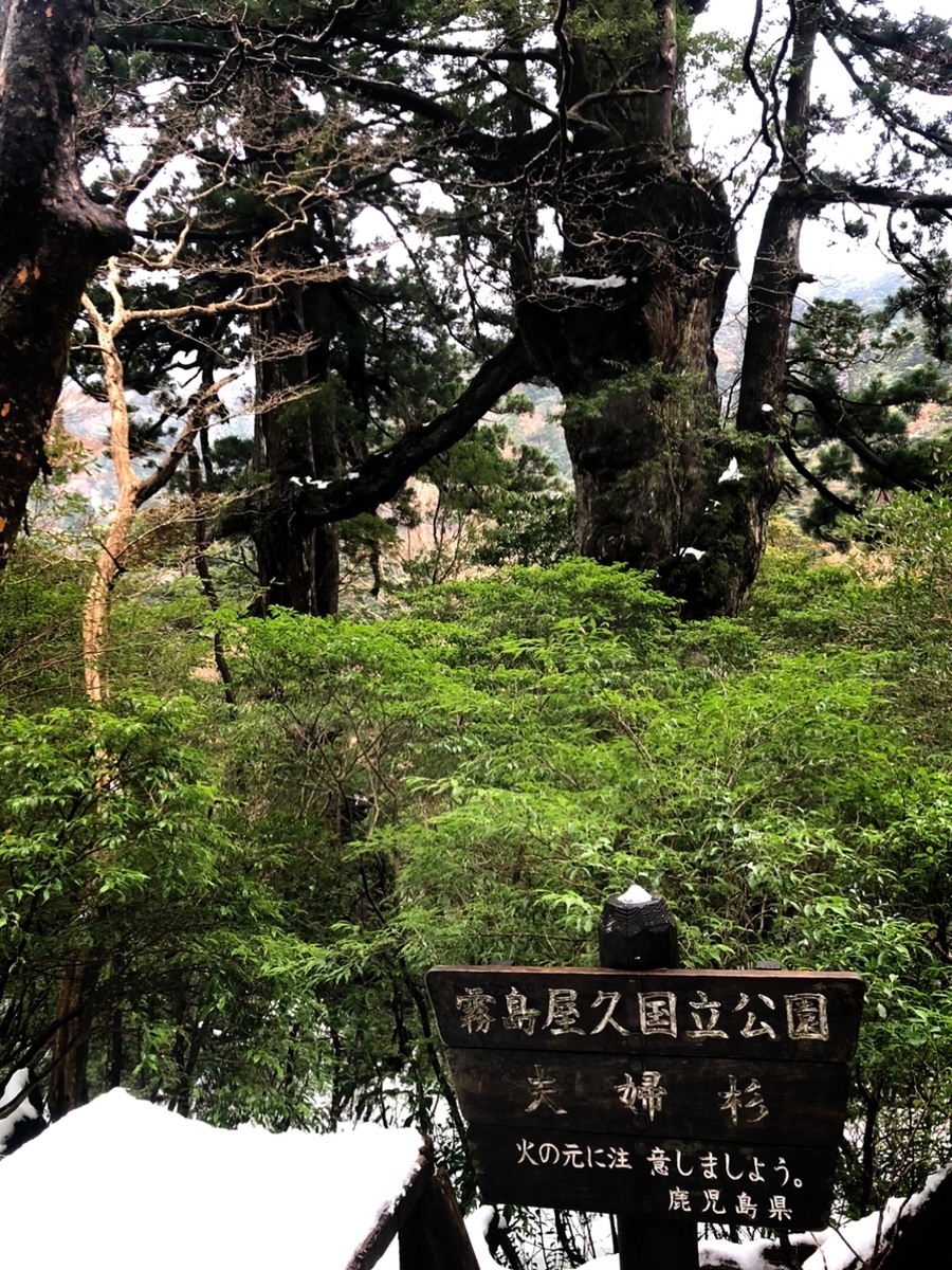 f:id:mizinnko_heart:20220118232521j:plain