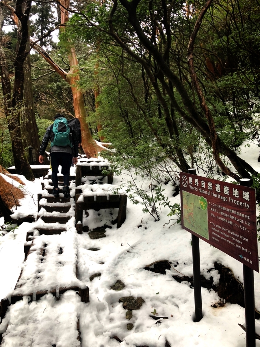 f:id:mizinnko_heart:20220118234553j:plain