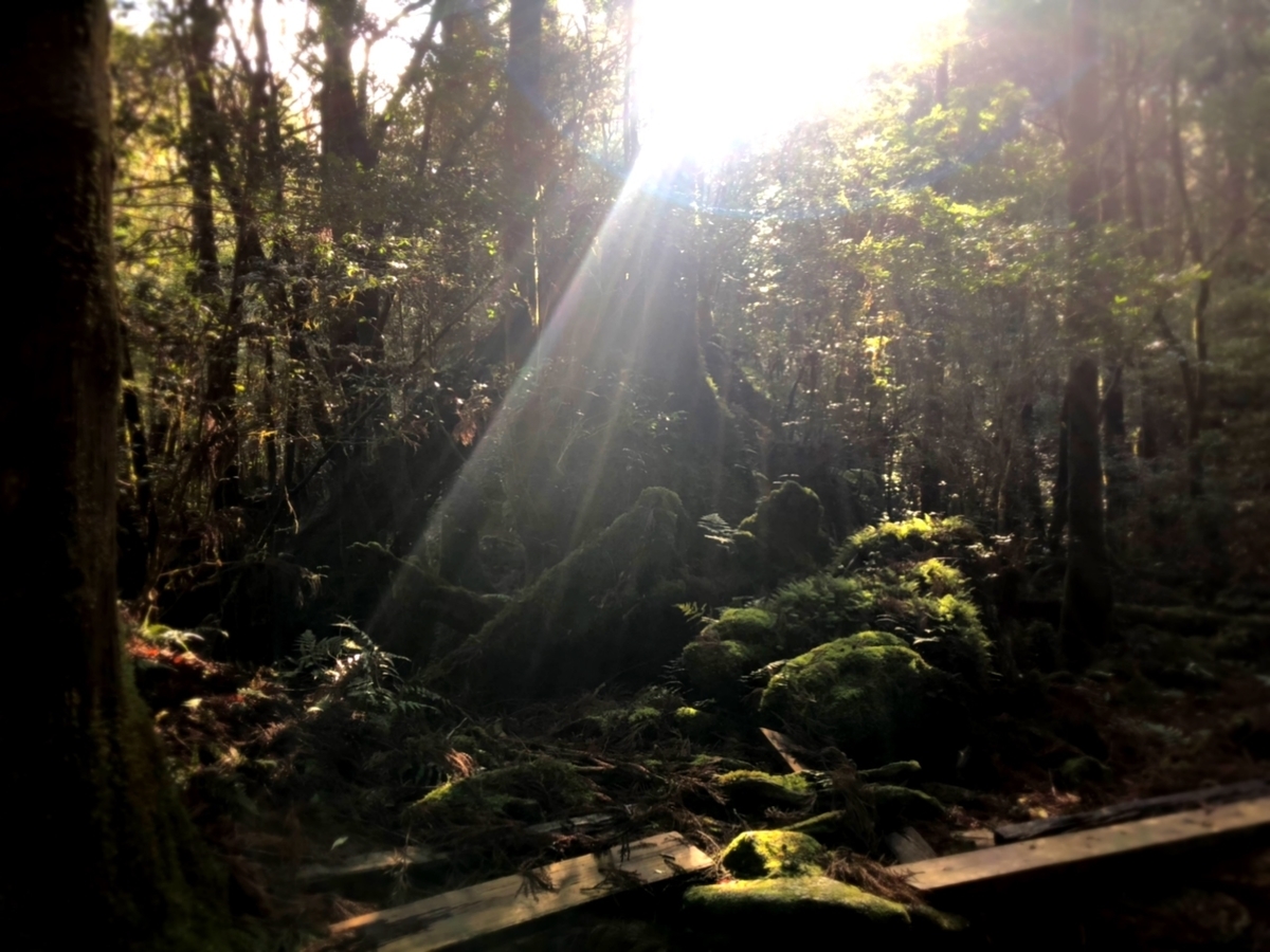 f:id:mizinnko_heart:20220118235902j:plain