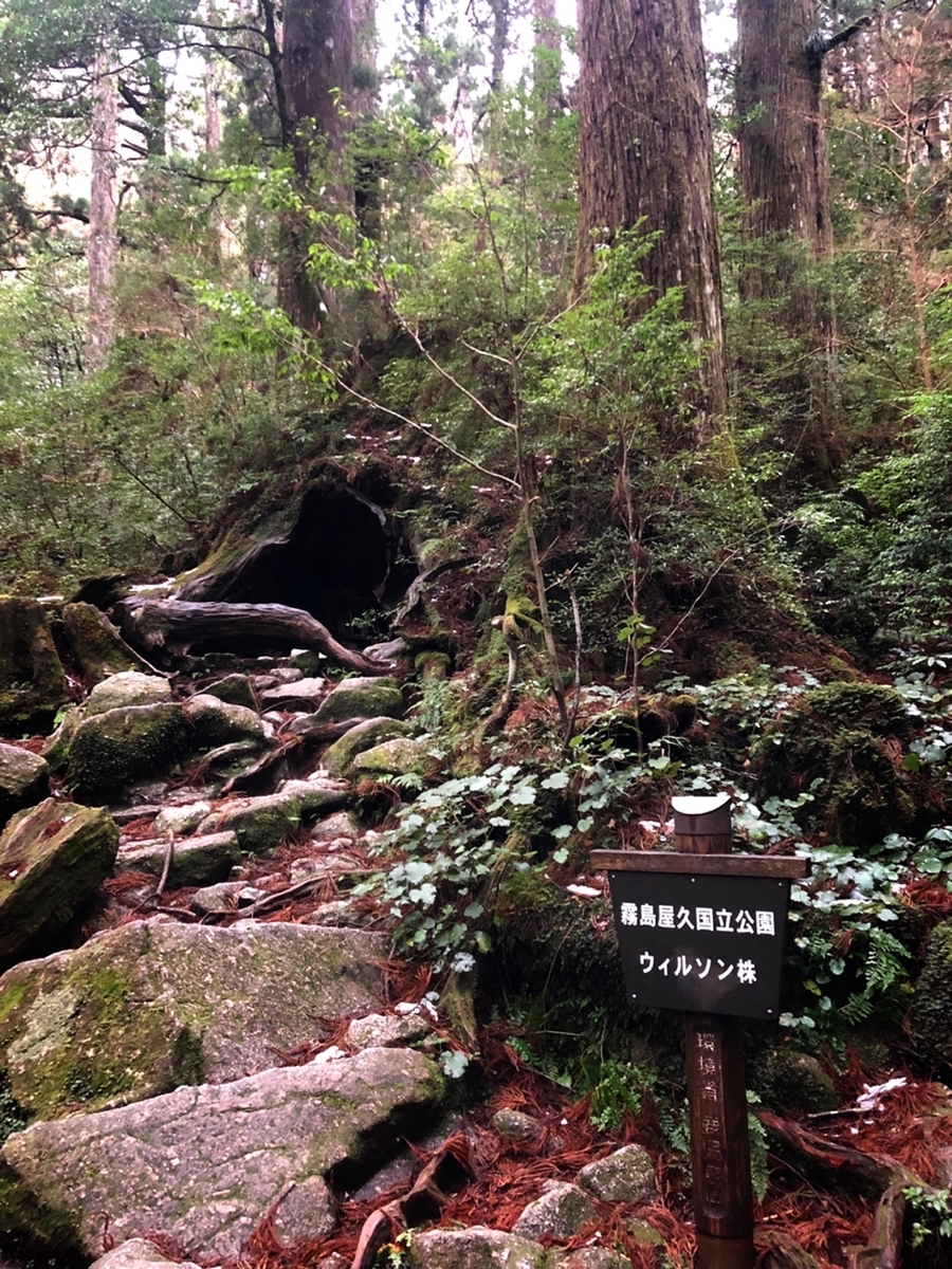 f:id:mizinnko_heart:20220119001858j:plain