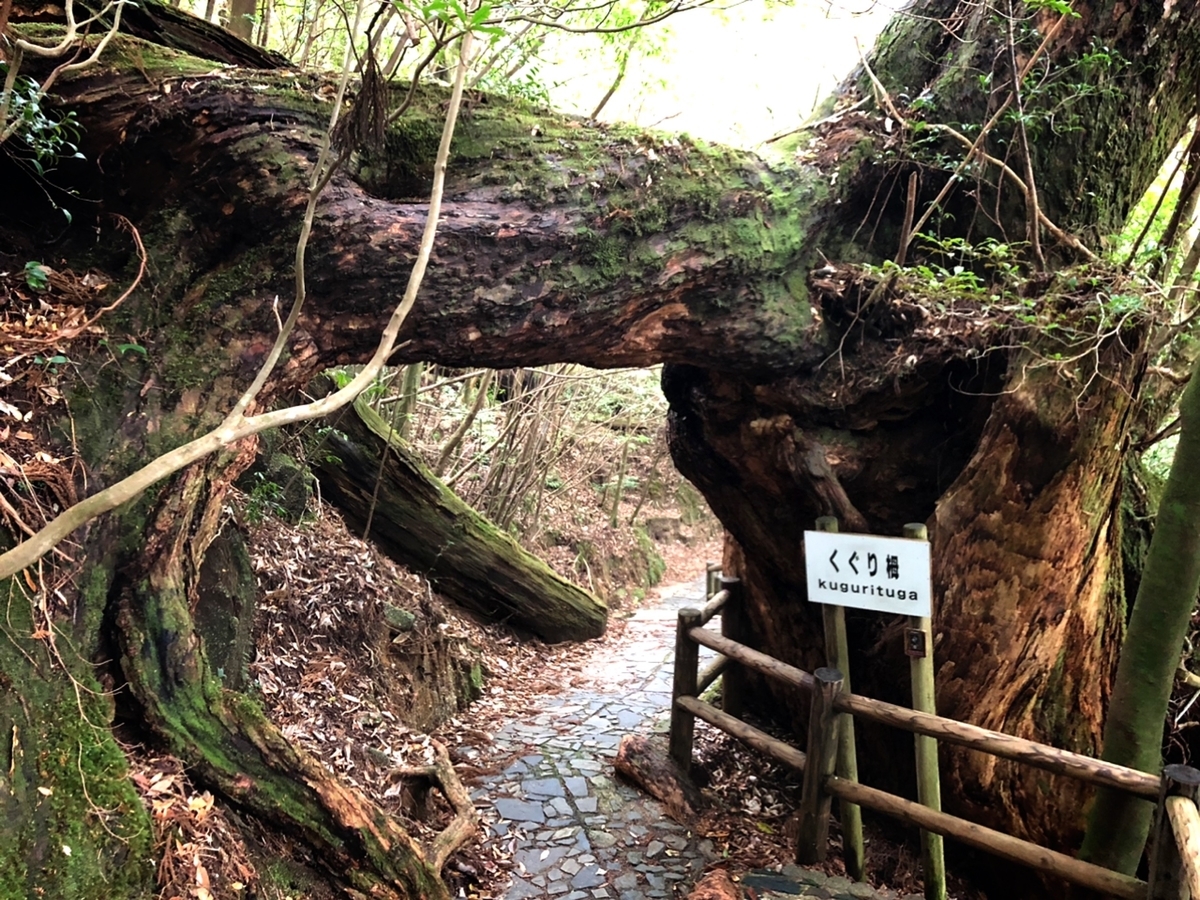 f:id:mizinnko_heart:20220121150021j:plain