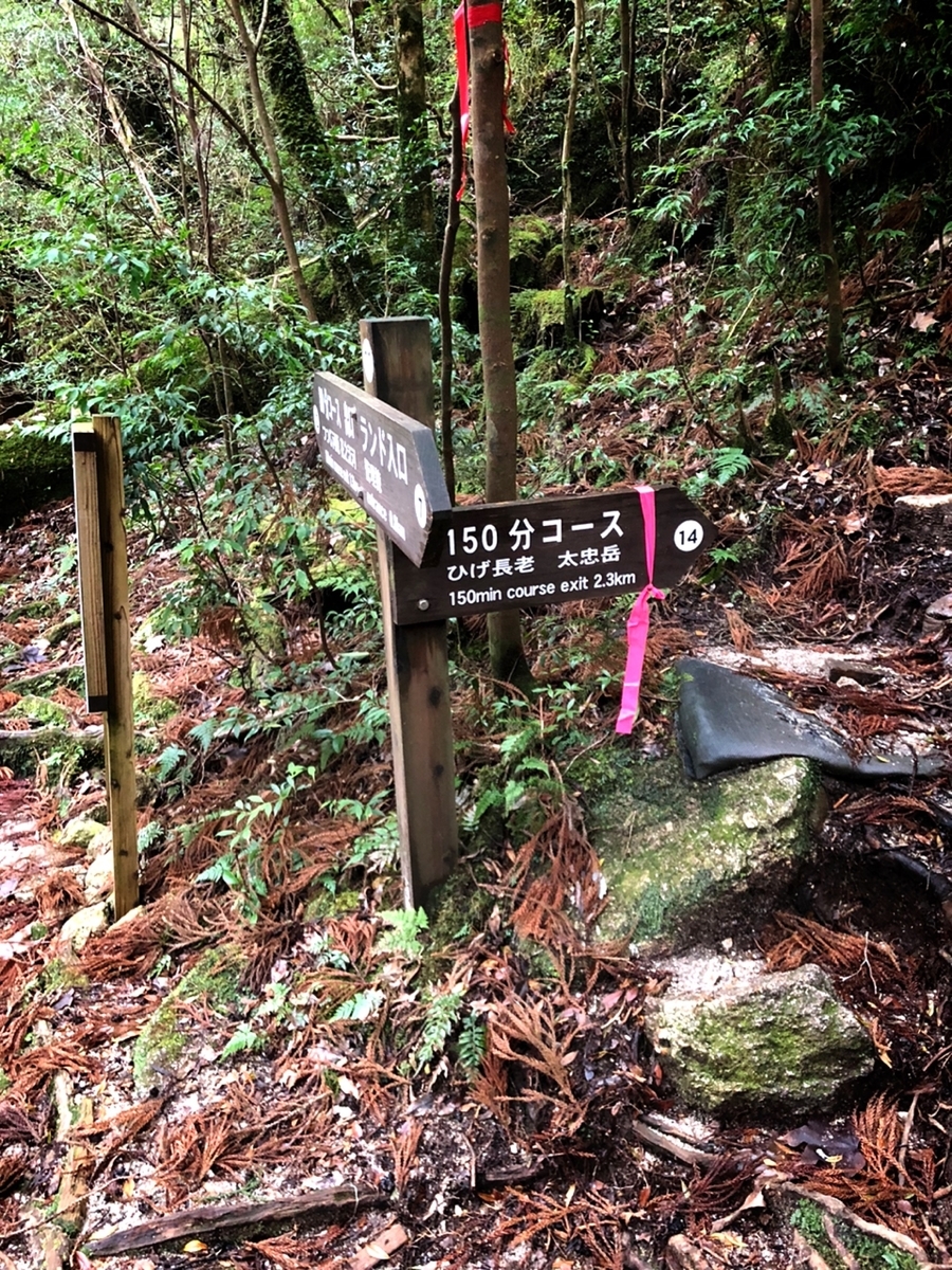 f:id:mizinnko_heart:20220121150211j:plain