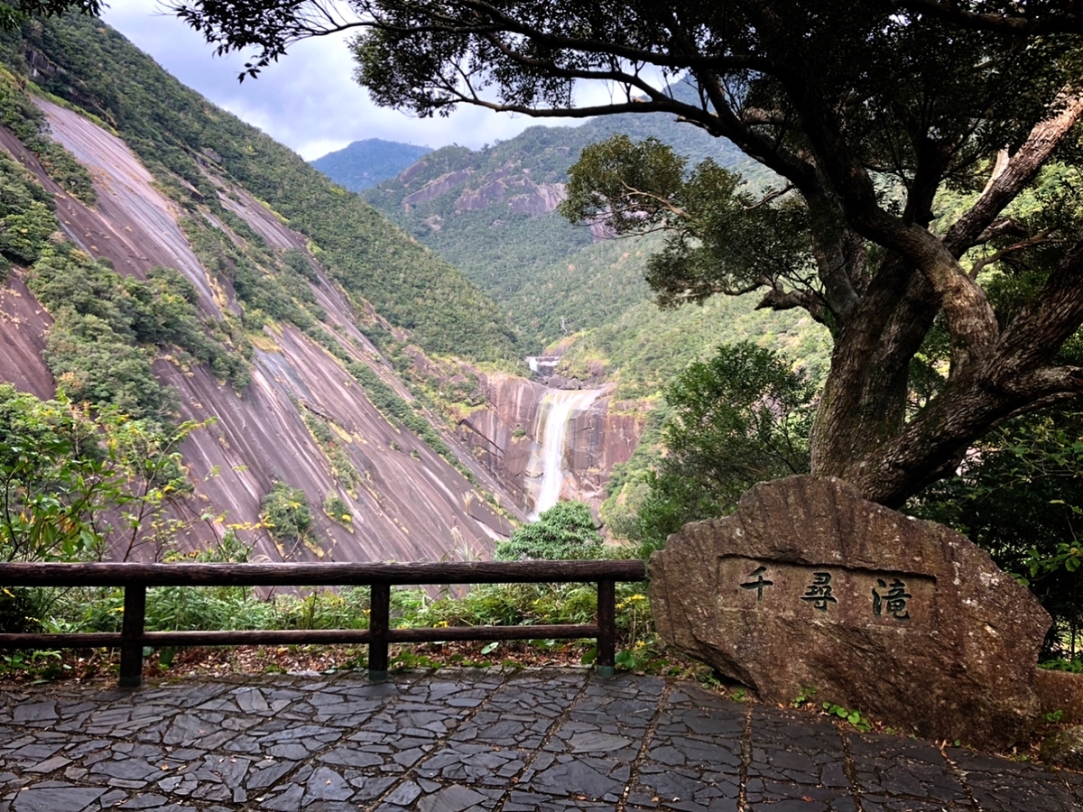 f:id:mizinnko_heart:20220121153153j:plain