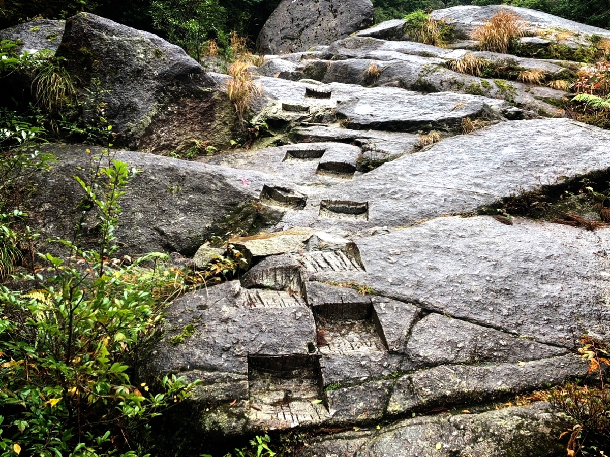 f:id:mizinnko_heart:20220124155754j:plain