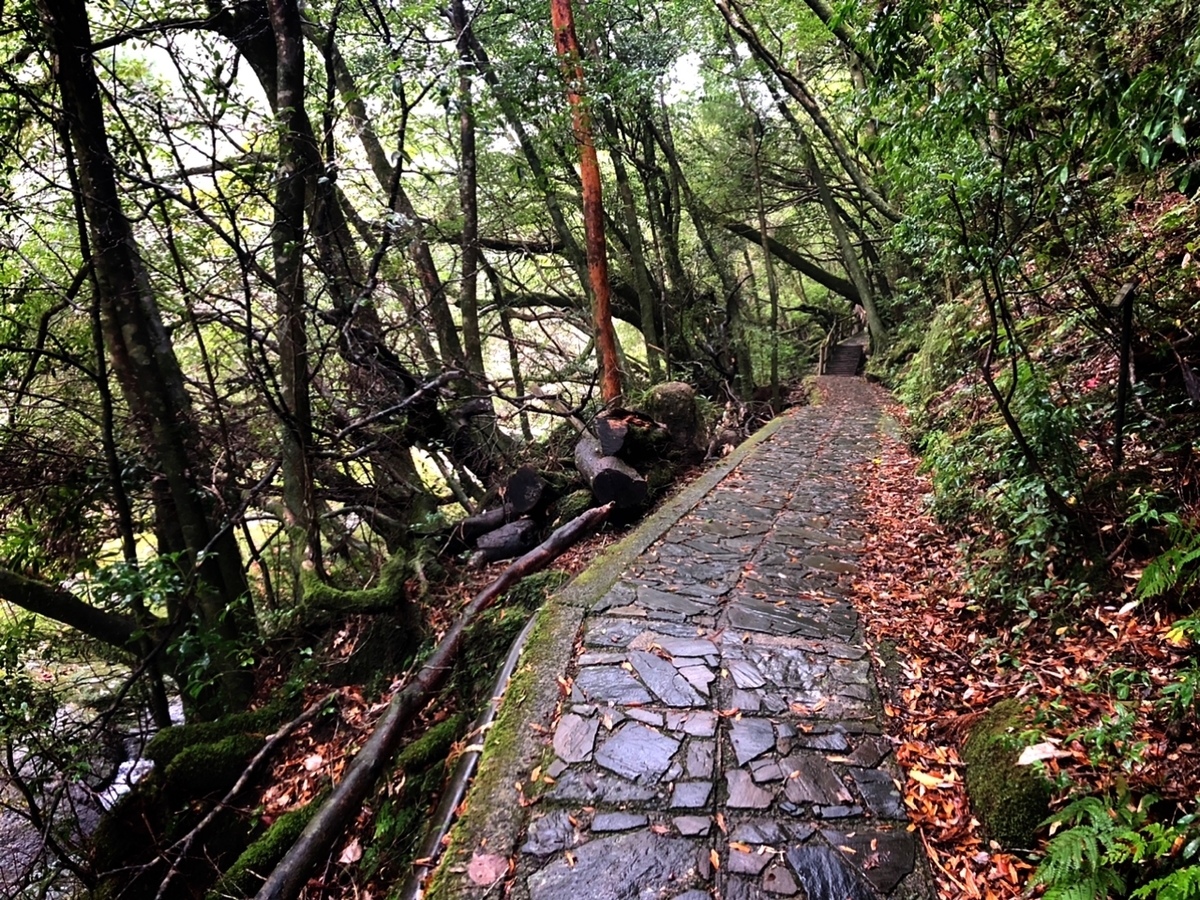 f:id:mizinnko_heart:20220124160456j:plain