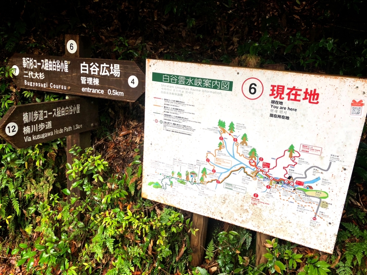 f:id:mizinnko_heart:20220124160557j:plain