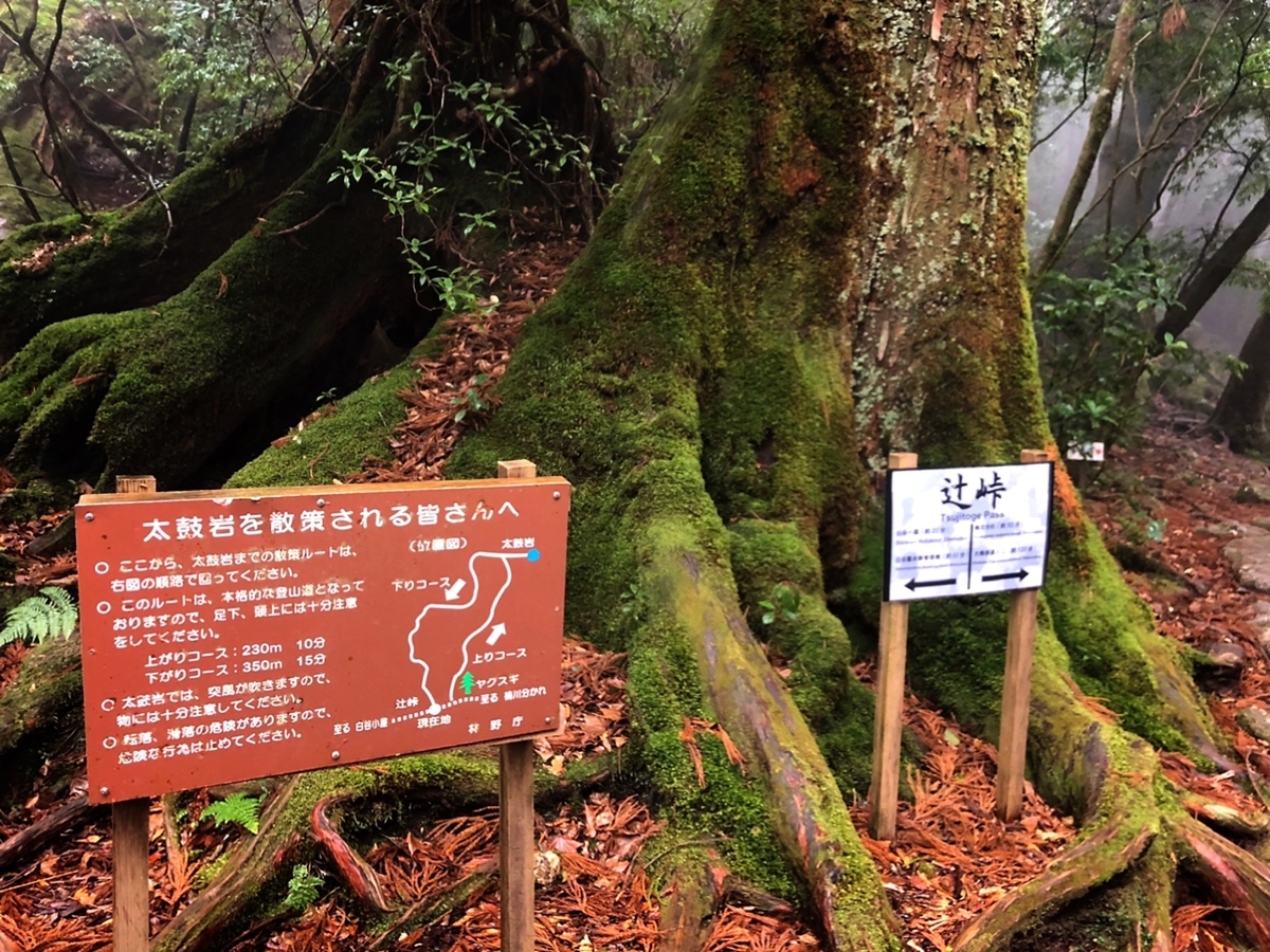 f:id:mizinnko_heart:20220124164426j:plain