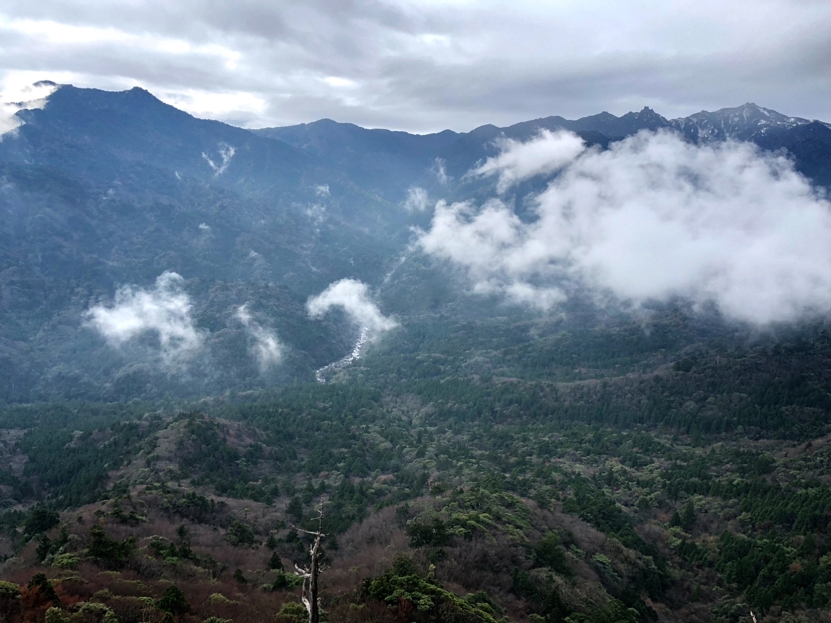 f:id:mizinnko_heart:20220124165807j:plain