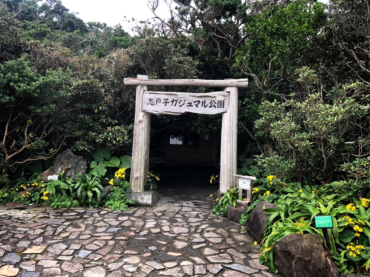 f:id:mizinnko_heart:20220124171017j:plain