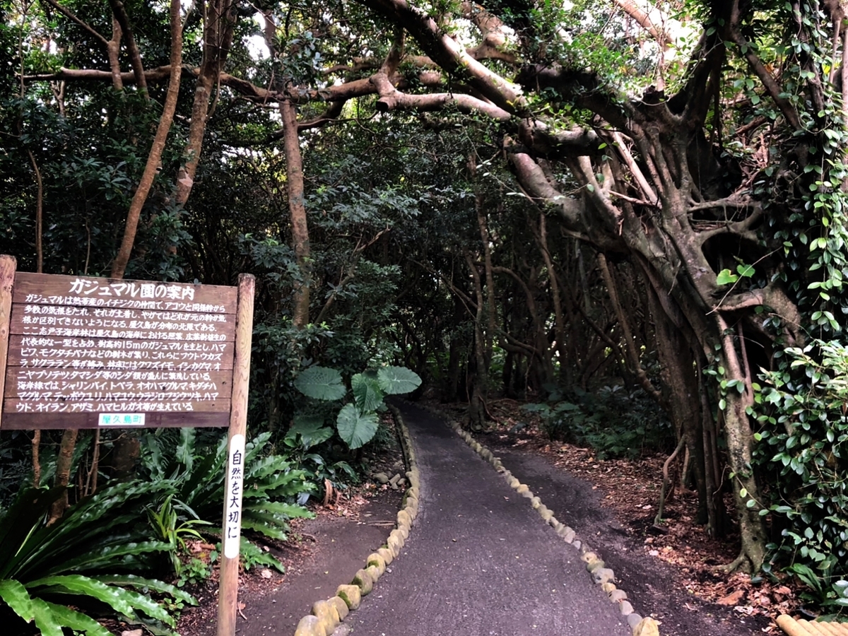 f:id:mizinnko_heart:20220124171245j:plain