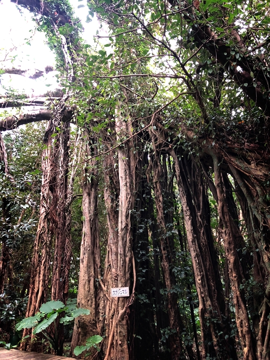 f:id:mizinnko_heart:20220124171716j:plain