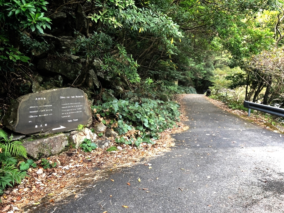 f:id:mizinnko_heart:20220125115041j:plain