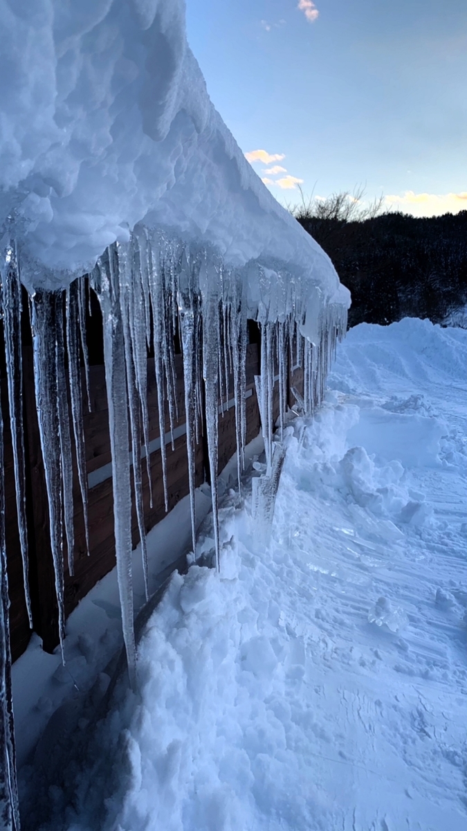 f:id:mizinnko_heart:20220207174213j:plain