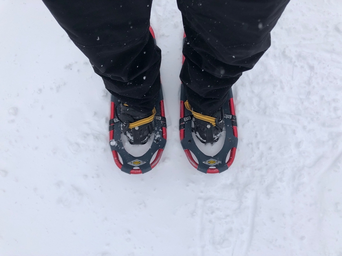 f:id:mizinnko_heart:20220215220705j:plain