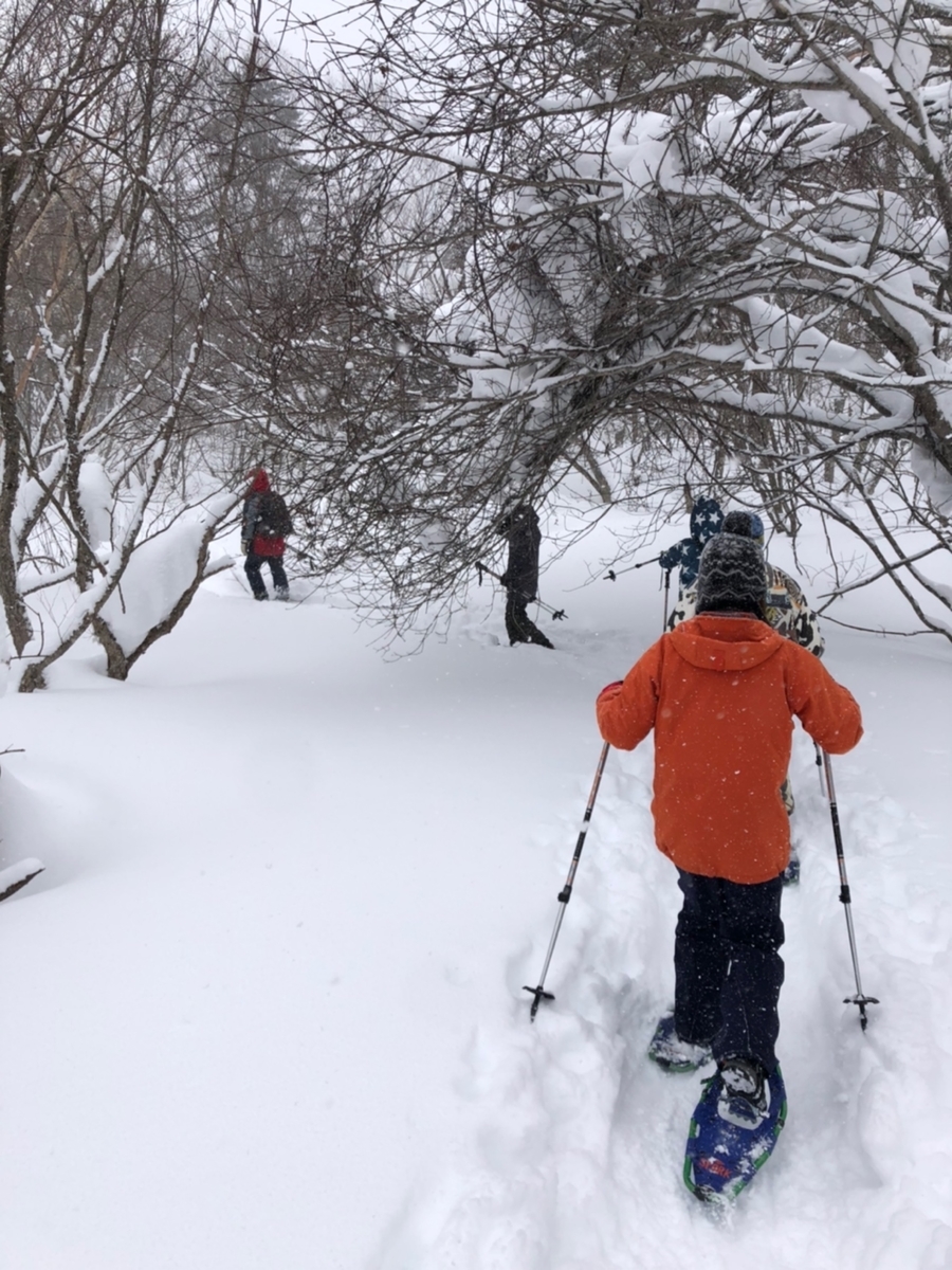 f:id:mizinnko_heart:20220215221616j:plain