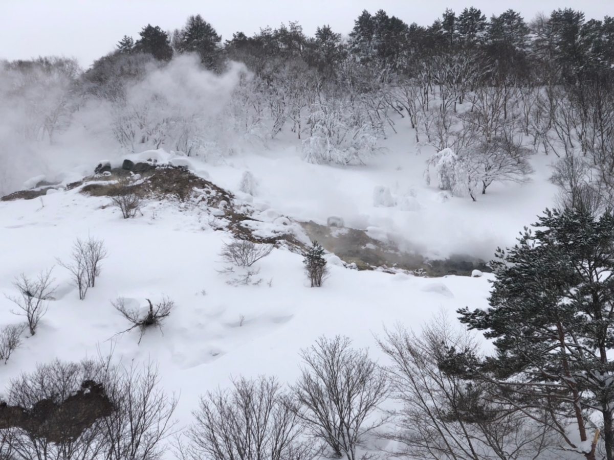 f:id:mizinnko_heart:20220215222614j:plain