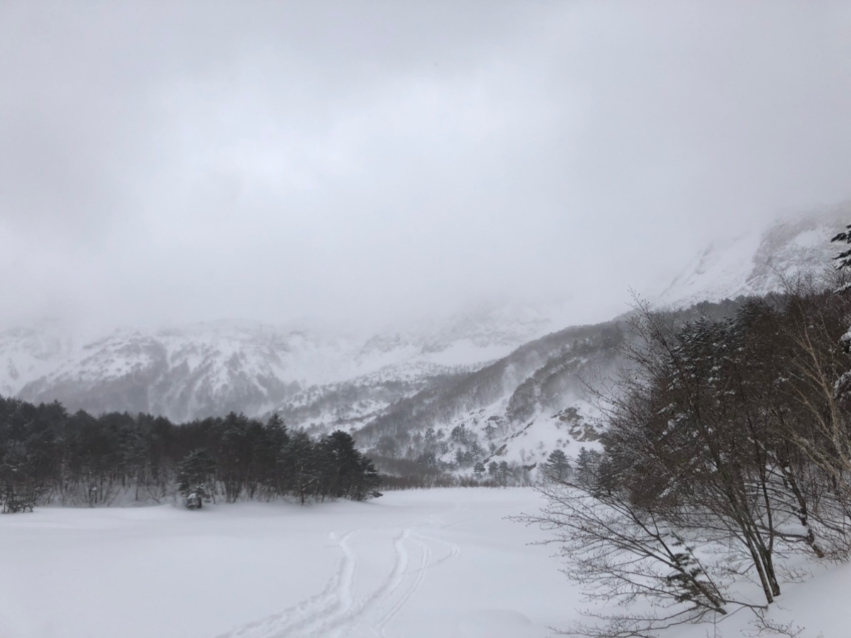 f:id:mizinnko_heart:20220215223042j:plain