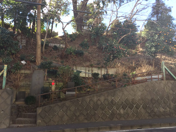 f:id:mizio-kamioh:20170327120708j:plain f:id:mizio-kamioh:20170327120708j:plain