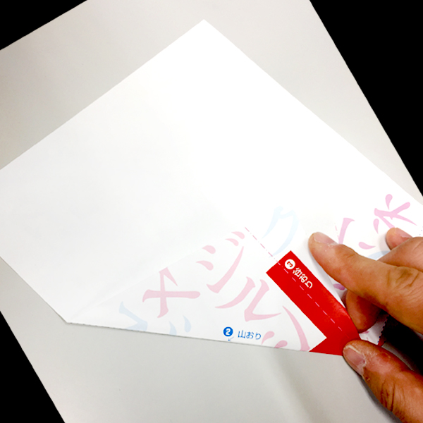 f:id:mizio-kamioh:20170329121349j:plain f:id:mizio-kamioh:20170329121349j:plain