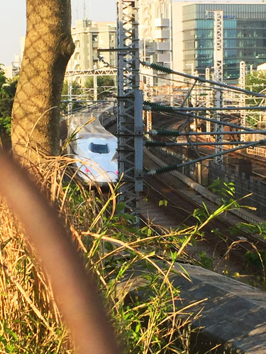 f:id:mizio-kamioh:20170511183136j:plain f:id:mizio-kamioh:20170511183136j:plain