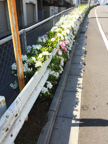 f:id:mizio-kamioh:20170511183843j:plain f:id:mizio-kamioh:20170511183843j:plain