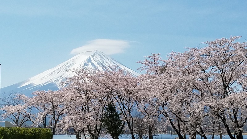 f:id:mizkenchang:20190422215525j:plain f:id:mizkenchang:20190422215525j:plain