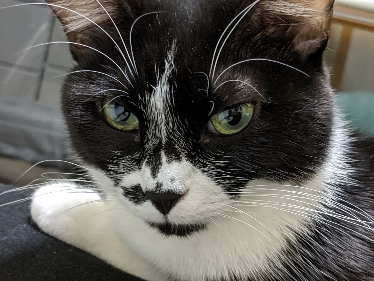 f:id:mizkenchang:20191201204109j:plain f:id:mizkenchang:20191201204109j:plain