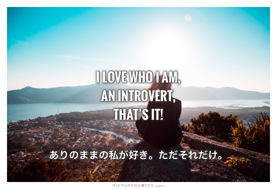 f:id:mizomaruko:20190518092207j:plain