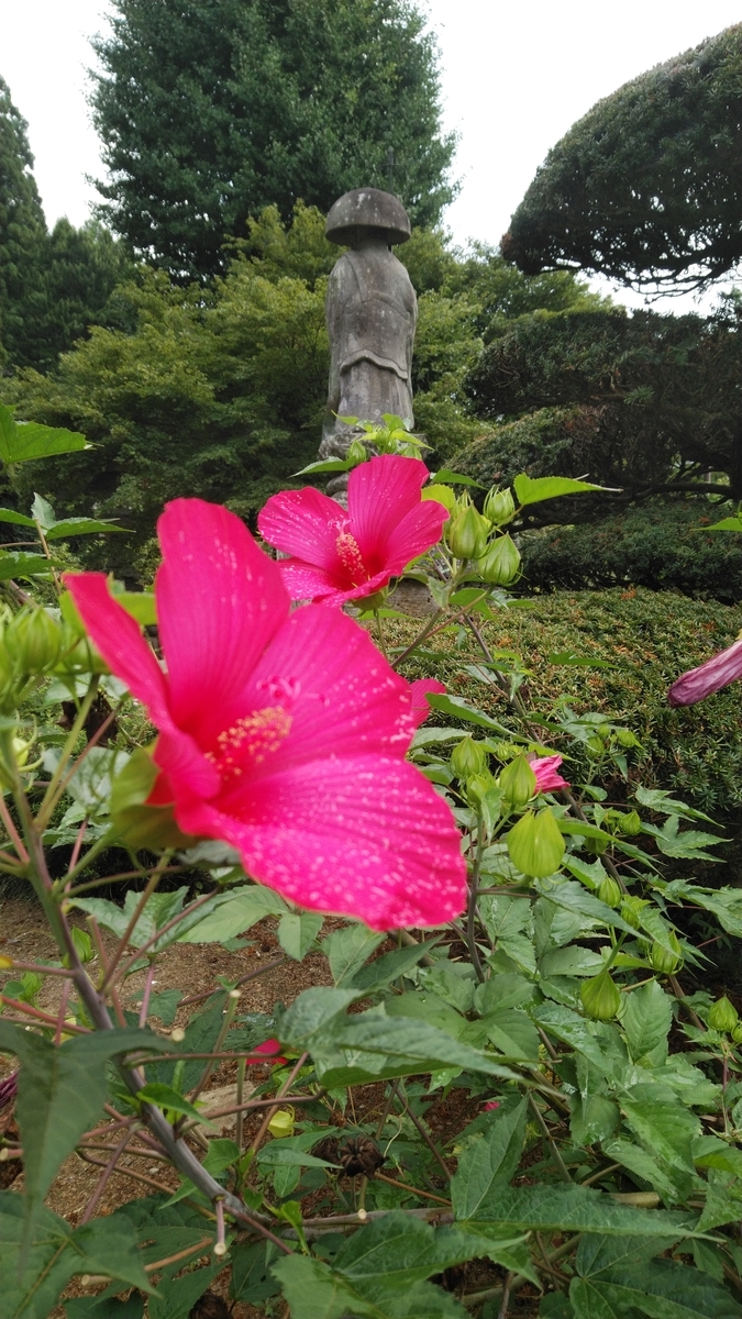 f:id:mizu-kuki:20190819143005j:plain