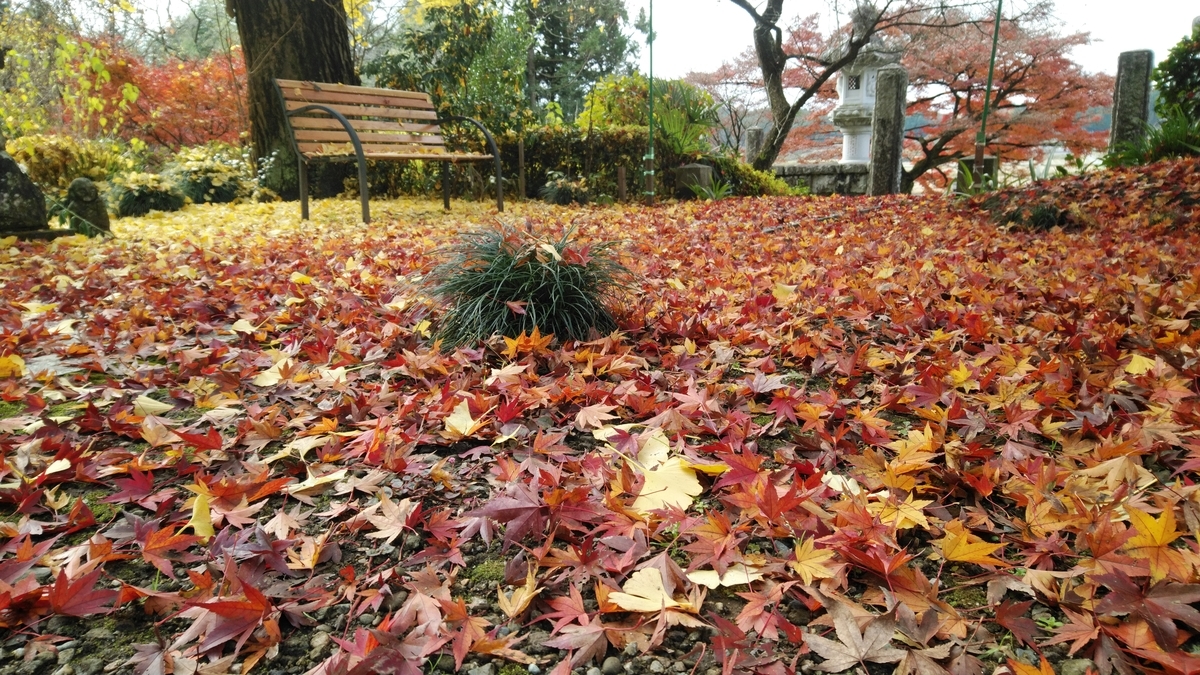 f:id:mizu-kuki:20191126205836j:plain