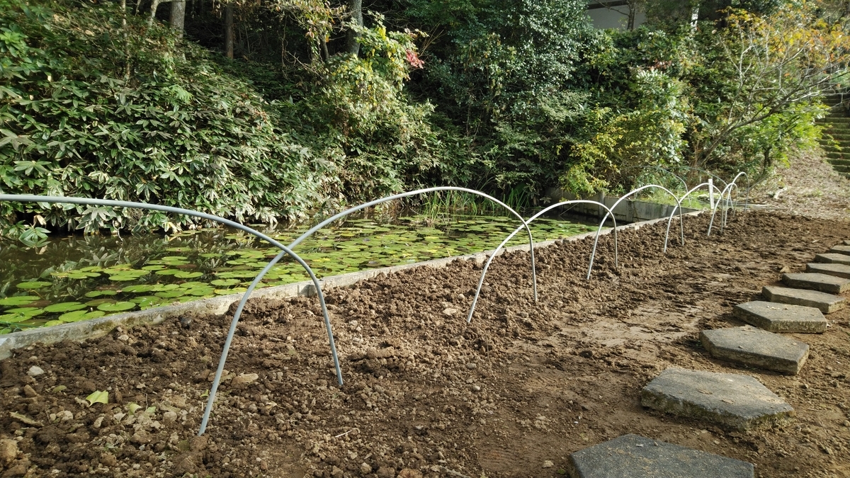 f:id:mizu-kuki:20191126211308j:plain