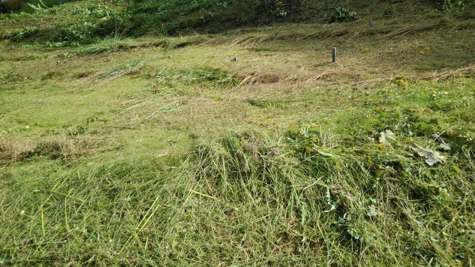 f:id:mizu-kuki:20201020110944j:plain