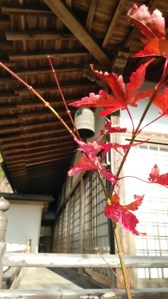 f:id:mizu-kuki:20201203144025j:plain