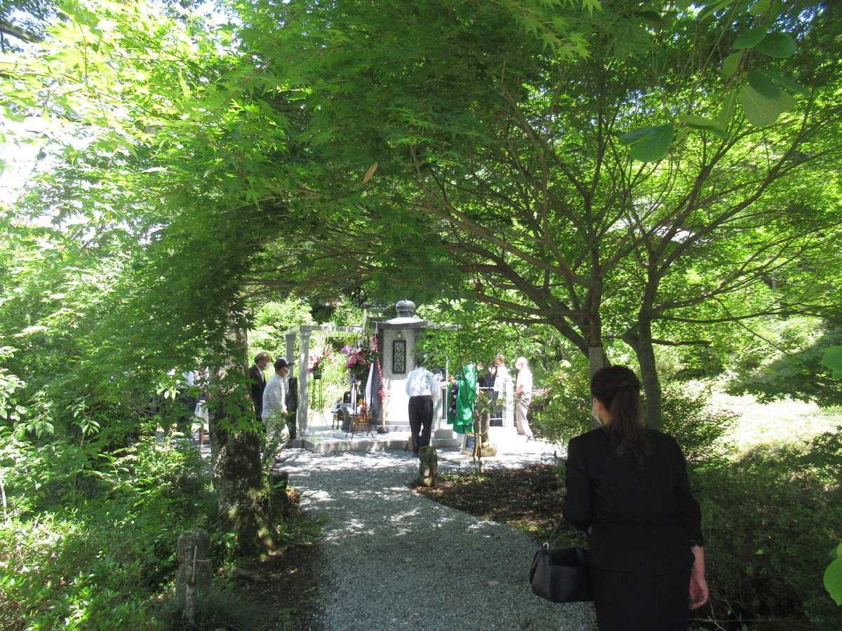 f:id:mizu-kuki:20210527205430j:plain