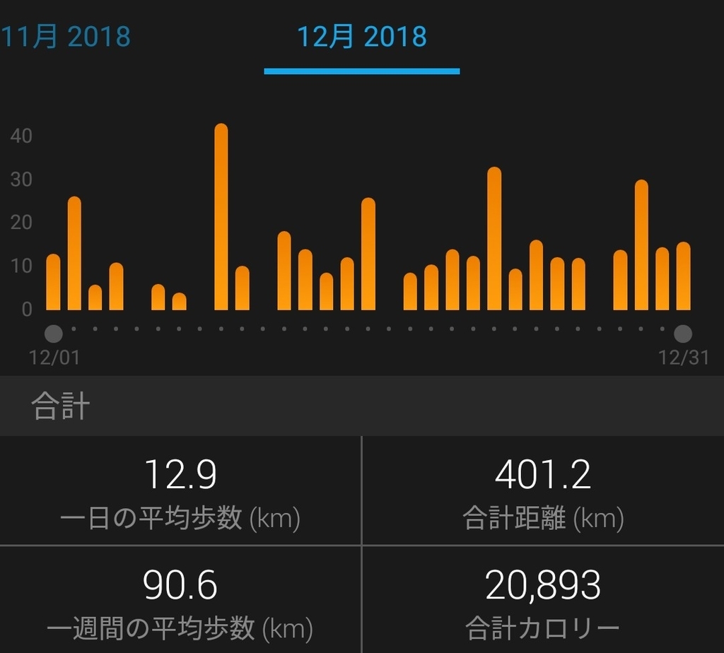 f:id:mizu1123:20181231144958j:plain f:id:mizu1123:20181231144958j:plain