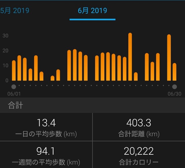 f:id:mizu1123:20190630160829j:plain f:id:mizu1123:20190630160829j:plain