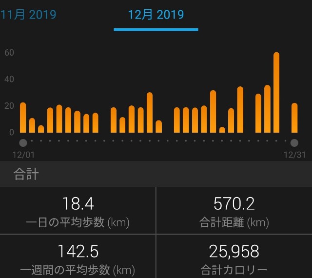 f:id:mizu1123:20191231134239j:plain