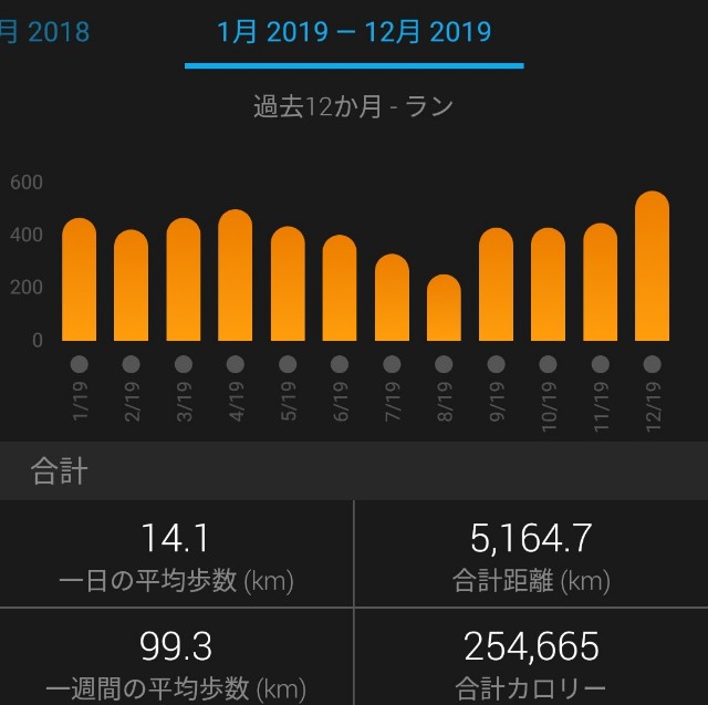 f:id:mizu1123:20191231134938j:plain