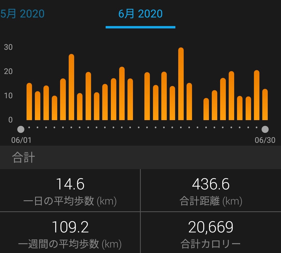 f:id:mizu1123:20200630194358j:plain f:id:mizu1123:20200630194358j:plain