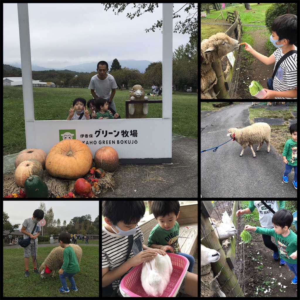 f:id:mizu1123:20211017083700j:image f:id:mizu1123:20211017083700j:image