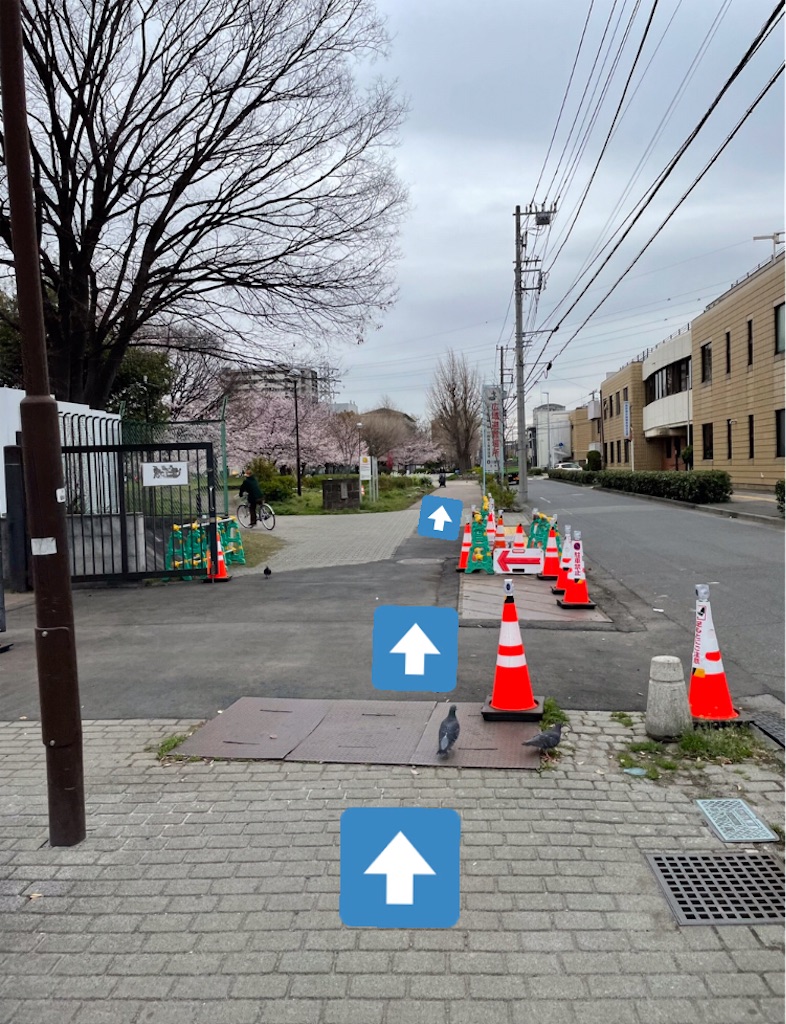 f:id:mizu1123:20220329143335j:image