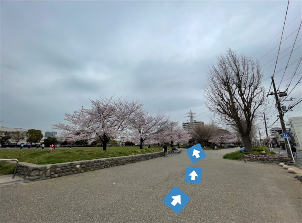 f:id:mizu1123:20220329143546j:image