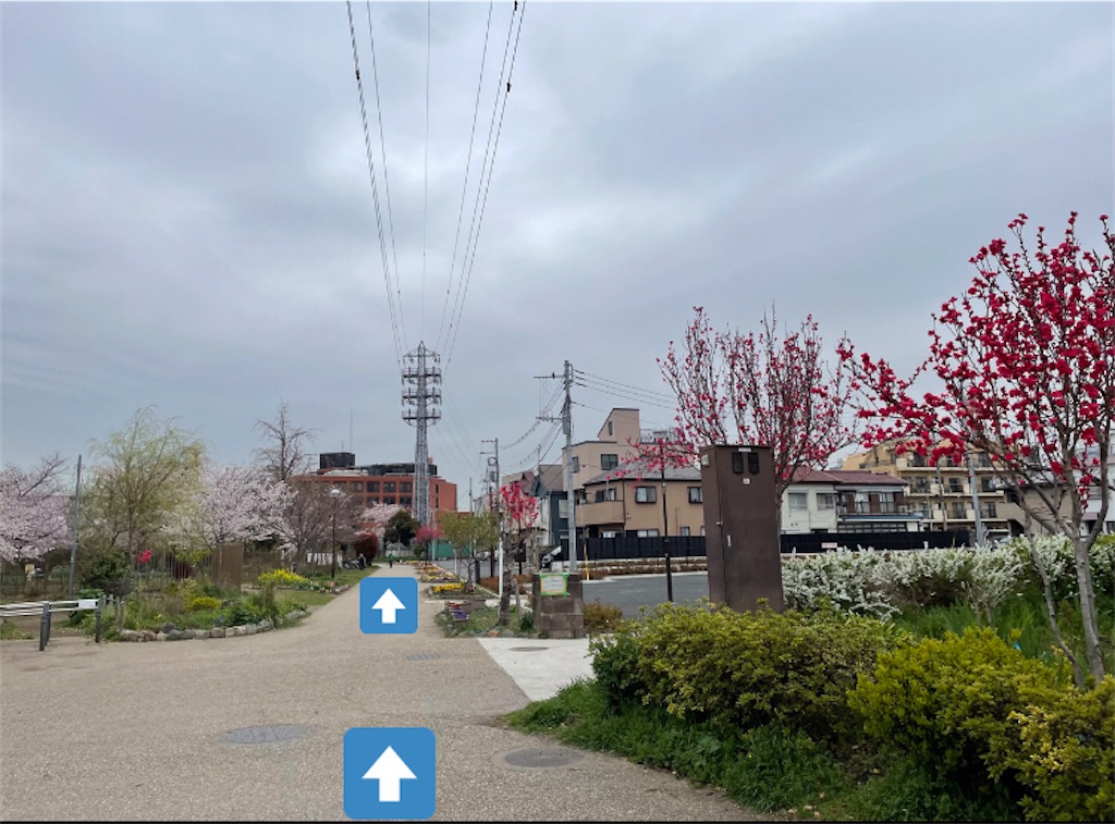 f:id:mizu1123:20220329143655j:image