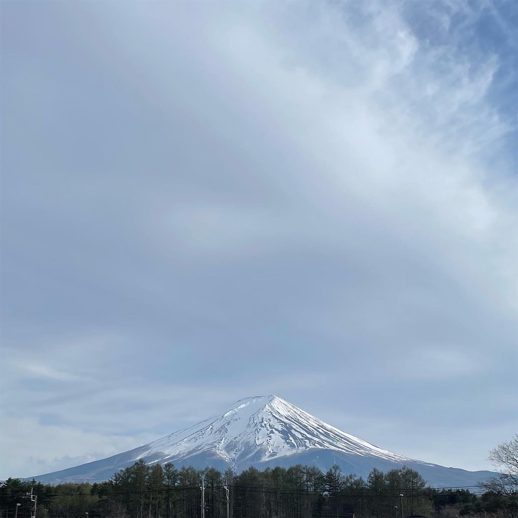 f:id:mizu1123:20220418153221j:image f:id:mizu1123:20220418153221j:image