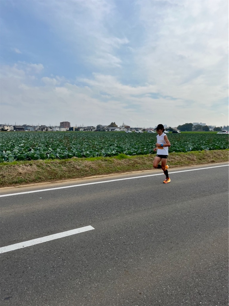 f:id:mizu1123:20221115145109j:image f:id:mizu1123:20221115145109j:image