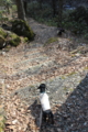[basil]20140323男女滝