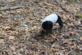 [basil]20140323男女滝