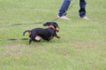 [nagi]20140628　遺産公園