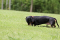 [nagi]20140628　遺産公園