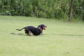 [nagi]20140628　遺産公園